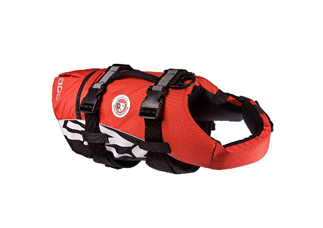 dog lifejacket